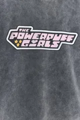 Sudadera gris con efecto lavado, cuello redondo, manga larga y rib en puños y bajo. Estampado frontal con el logo de Las Super Nenas.