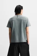 Camiseta gris con efecto lavado, corte relaxed fit, cuello redondo y manga corta. Estampado frontal de una mosca en color blanco.