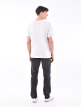 Remera gris con estampa de la Ópera de Sídney y un skater haciendo parkour.