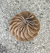 Broche con forma de flor color beige, realizado artesanalmente en Italia con pétalos circulares de cuero sintético. Se sujeta con imán.
