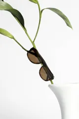 Lentes de sol con montura gruesa color carey y lentes marrones.