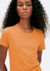 Remera verde claro de algodón, de corte clásico y mangas cortas.