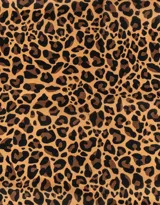 Pañuelo cuadrado de tela satinada con estampado animal print y borde negro.