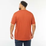 Camiseta color ladrillo con cuello henley y manga corta.