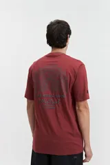 Remera color ladrillo de manga corta con cuello redondo y estampado pequeño en el pecho.