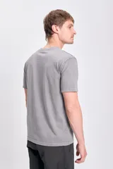 Remera gris de manga corta con estampa frontal con la palabra 'California' en tipografía varsity.