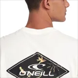 Remera de mangas cortas color blanco con logo de la marca O'Neill estampado en el pecho.