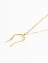 Collar de acero quirúrgico con dije en forma de herradura, hipoalergénico y de diseño delicado.