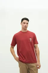 Remera celeste de manga corta con bolsillo en el pecho y estampado con palmera y texto.