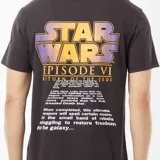 Camiseta gris con el logo de Star Wars estampado en el pecho.