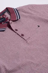 Remera de mangas cortas con cuello polo a rayas horizontales azul marino y blancas.