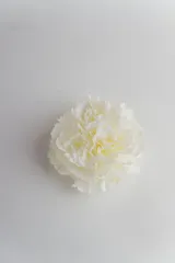 Accesorio para el pelo con forma de flor de color blanco.