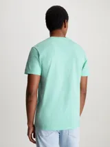 Remera verde agua de Calvin Klein Jeans, de corte regular, cuello redondo y manga corta. Estampado frontal con el logo de la marca en color blanco.