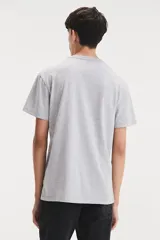 Remera gris de manga corta con cuello redondo y estampado frontal con el logo de Levi's 501 Company en rojo y azul.