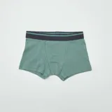 Pack de tres boxers con cintura elástica en color azul marino y verde. Uno de los boxers es de color verde liso, otro es de color beige con estampado de dinosaurios pequeños y el tercero es de color beige con estampado de dinosaurios grandes.