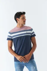 Remera de hombre a rayas horizontales en gris, borgoña, blanco y negro, con logo bordado en el pecho.