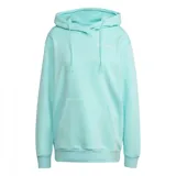Hoodie Adidas Terrex color celeste con logo de la marca en el pecho.