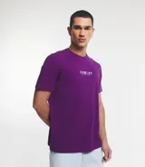Remera violeta de media malla, corte comfort, cuello redondo y manga corta. Estampa trasera con un pez koi y un templo japonés, y texto en japonés e inglés.