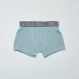 Pack de tres bóxers de algodón con cintura elástica con la inscripción "Cool Vibes". Uno es liso celeste, otro a cuadros grises y blancos, y el tercero a cuadros grises y blancos.
