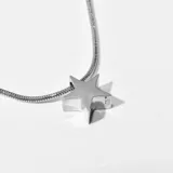 Colgante plateado con dije de estrella.