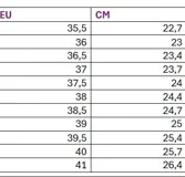 Sandalias plateadas con doble tira de strass, taco cuadrado bajo y pulsera opcional al tobillo.