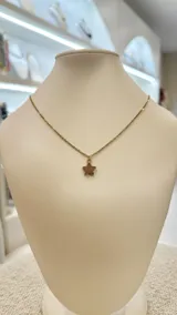 Collar dorado con cadena fina y dije de estrella.