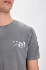 Remera gris de manga corta con estampa de dos peces koi y texto "Magical Species from Nature" en blanco.