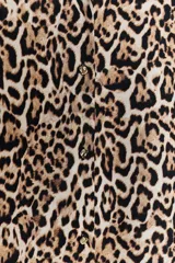 Camisa de manga larga con estampado de leopardo, cuello solapa y escote pico.