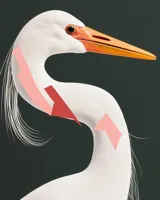 Pañuelo cuadrado de seda color negro con estampado de una garza blanca con detalles en rosa y rojo. Dobladillo hecho a mano.