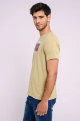 Remera color verde con estampa rectangular de paisaje de flores y montañas.