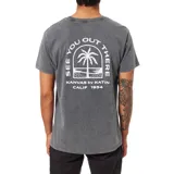 Remera gris de manga corta con cuello redondo y estampado en el pecho con un paisaje de playa y el logo de la marca Katin.
