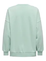 Buzo de algodón y poliéster color verde menta, con cuello redondo y manga larga. Presenta un estampado frontal con un leopardo y texto en tonos neón.