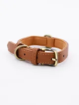 Collar marrón ajustable para perro, con interior acolchado y hebilla metálica.