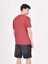 Remera color ladrillo con estampado rectangular con texto y palmera.