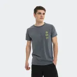 Remera gris con efecto gastado y estampado pequeño en el pecho con un sol, una ola y el logo de la marca.