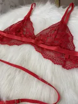 Conjunto de lencería de encaje rojo, compuesto por un bralette con tanga de tira doble regulable, portaligas desmontable y ligas regulables.
