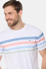 Remera de manga corta color gris jaspeado con cuello redondo y un patrón de rayas horizontales anchas en tonos pastel (azul, verde menta, rosado y amarillo). Presenta un pequeño logo bordado en el pecho.