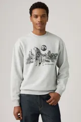 Buzo gris de corte relajado con cuello redondo y mangas largas. Estampado frontal con lobos, cactus y luna.