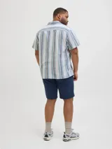 Camisa de manga corta a rayas verticales azules y blancas, con cuello resort y corte holgado.