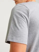 Remera gris de manga corta y cuello redondo, con logo "JJ REBEL" estampado en el pecho.