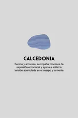 Par de aros colgantes con argolla de acero quirúrgico hipoalergénico y dije en forma de gota de piedra natural color marrón.