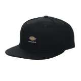 Gorro negro de Dickies Skateboarding con visera plana y logo de la marca bordado en el frente.