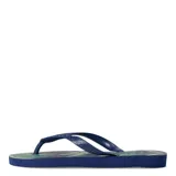 Sandalias Havaianas modelo Aloha, color azul marino con estampado de hojas de palmera en tonos verde y beige.