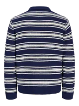 Polo tejido de manga larga con fit relajado, color azul marino con rayas horizontales blancas. Presenta medio cierre de botones en el cuello y una construcción en punto.