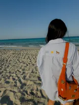 Camisa celeste a rayas verticales con bordados de un sol y un caballo en la espalda.
