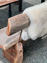 Cuero natural de oveja color blanco, ideal para usar como alfombra, pie de cama o sobre un sillón.