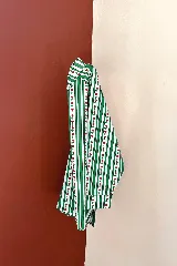 Camisa estampada con rayas verticales verdes y blancas con estampado de rosas rojas, con botones en la parte delantera y en el costado.