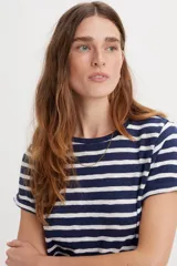 Remera de mangas cortas con rayas horizontales azules y blancas.