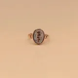 Anillo de plata 925 y oro 9k con el símbolo de la medicina.