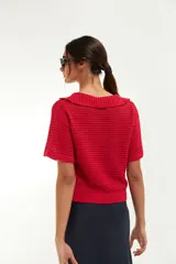 Remera de tejido de punto calado color rojo, con cuello polo y mangas cortas.